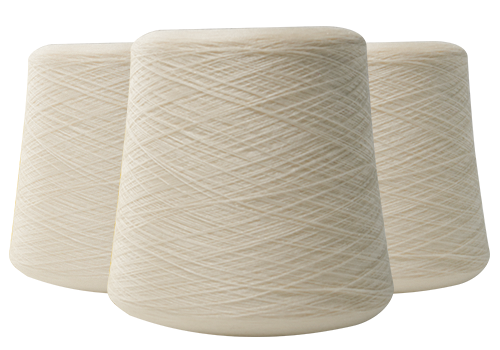 Jiangsu Haoye Fiber Technology Co., Ltd.