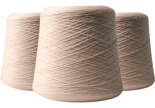 Jiangsu Haoye Fiber Technology Co., Ltd.